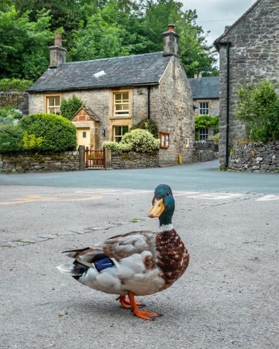 Duck Cottage Milldale Alstonefield Peak District 앨스톤필드 외부 사진